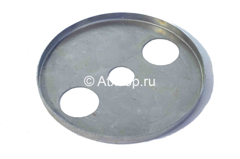 zashhitnyj-disk-anna-z-644-2-2