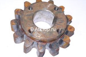 shesternya-shkiva-gorki-anna-z-644-1