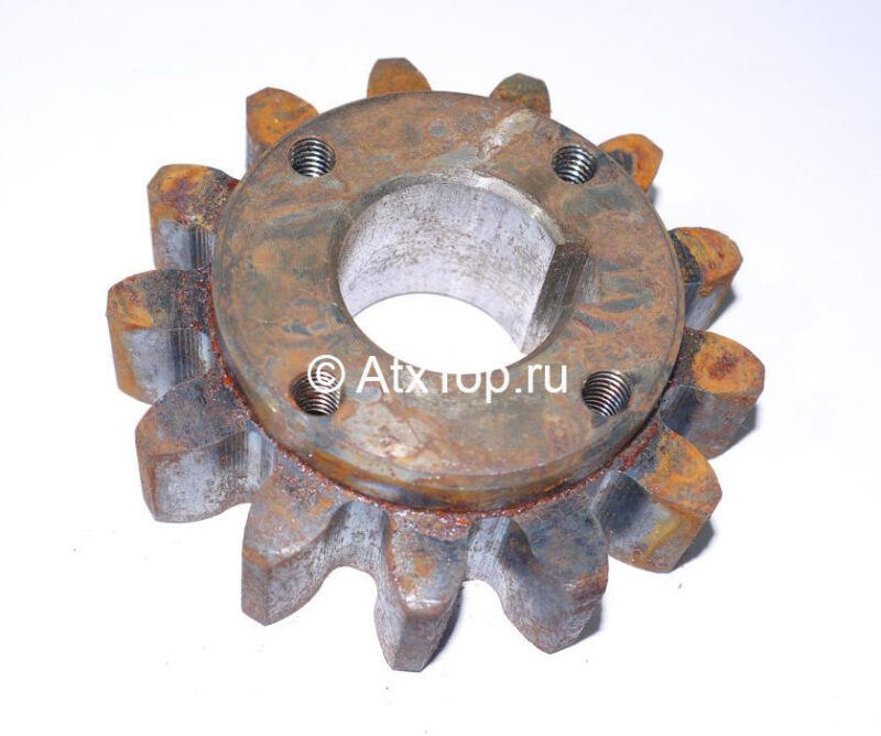 shesternya-shkiva-gorki-anna-z-644-1