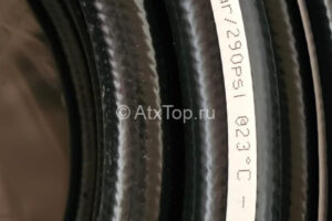 Изображение WhatsApp 2024-10-31 в 13.02.10_d15c8eda