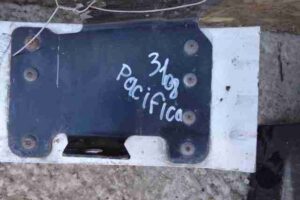 Изображение товара 6140 - 00006140 usilitel bampera perednij   4