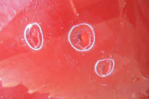 Изображение товара 331w20792 - DSC00032