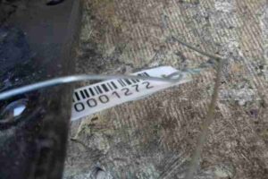 Изображение товара 1272 - 00001272 usilitel bampera zadnij Ford Transit Connect 3