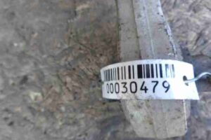 Изображение товара 30479 - 00030479 rychag perednij pravyj nizhnij Volkswagen Up 2