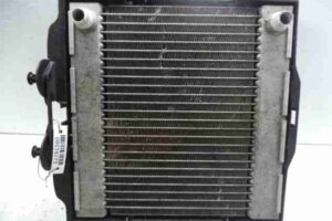 Изображение товара 38273 - 00038273 radiator dvs 