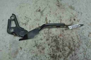 Изображение товара 44080 - 00044080 petlya kapota pravaya 