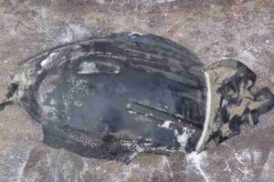 Изображение товара 47940 - 00047940 podkrylok perednij levyj Ford Transit Connect