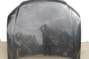 Изображение товара 52547 - 00052547 kapot 2