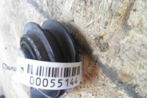 Изображение товара 55144 - 00055144 rychag zadnij pravyj 