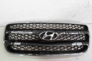 Изображение товара 70859 - 00070859 reshetka radiatora 