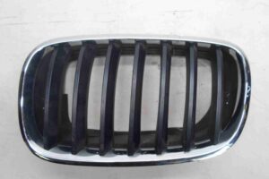 Изображение товара 74530 - 00074530 reshetka radiatora 