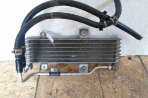 Изображение товара 90356 - 00090356 radiator maslyanyj 