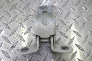 Изображение товара 100276 - 00100276 petlya dveri zadnyaya 