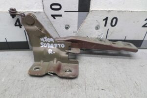 Изображение товара 106504 - 00106504 petlya kapota pravaya Audi TT