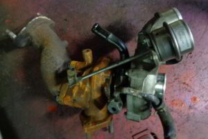 Изображение товара 2160w25424 - 022162160 (1)