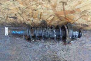 Изображение товара 12226 - 00012226 amortizator zadnij pravyj  