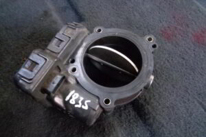 Изображение товара 1835w26156 - DSC089411835